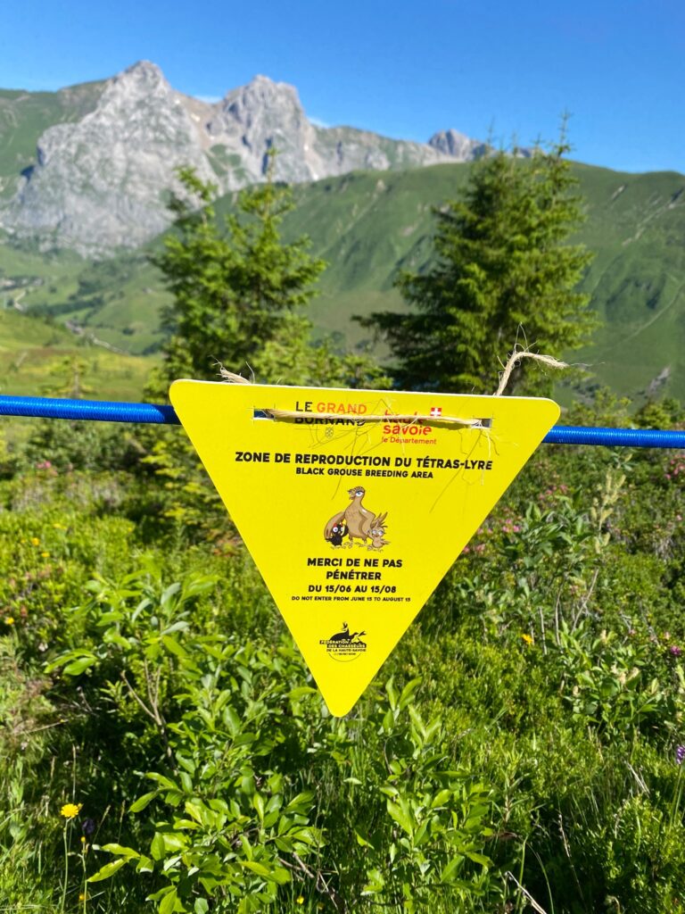 Zone de tranquillité - Haute-Savoie